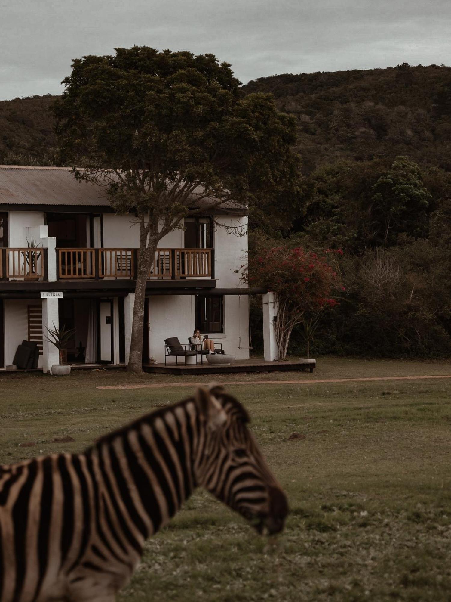 Stanley Island Villa Плетенбърг Бей Екстериор снимка